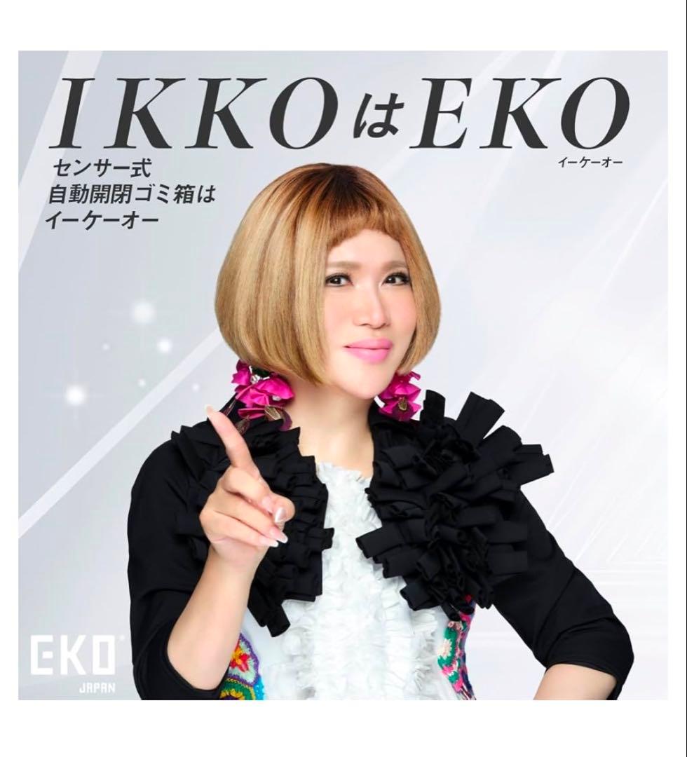 EKO 自動開閉ゴミ箱 45L EK9262P-45L-WH