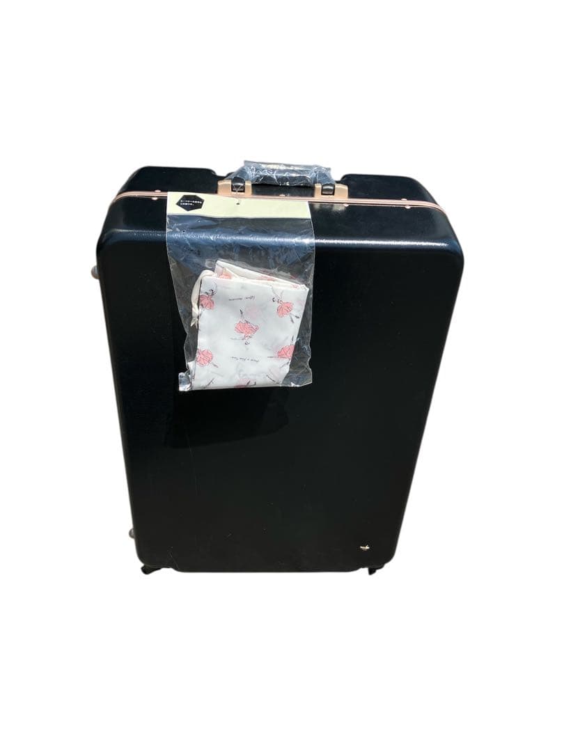 【未使用級】エース ハントHaNT ラミエンヌ 87L キャリーケース　ブラック