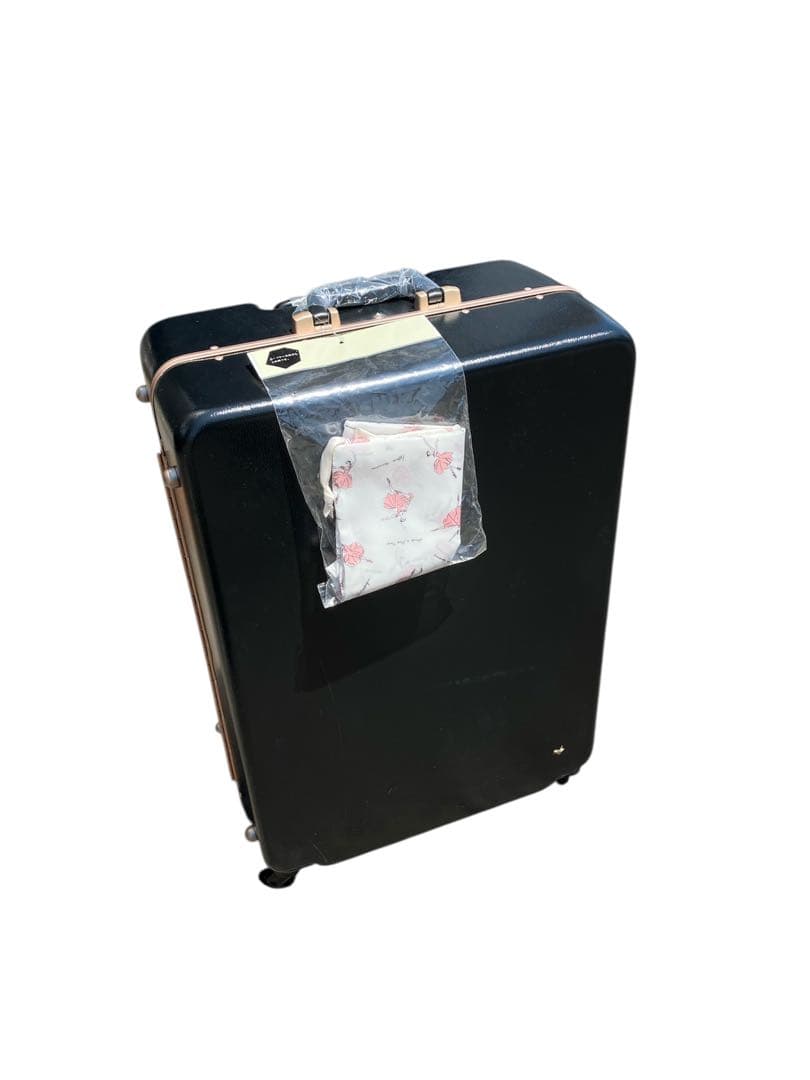 【未使用級】エース ハントHaNT ラミエンヌ 87L キャリーケース　ブラック