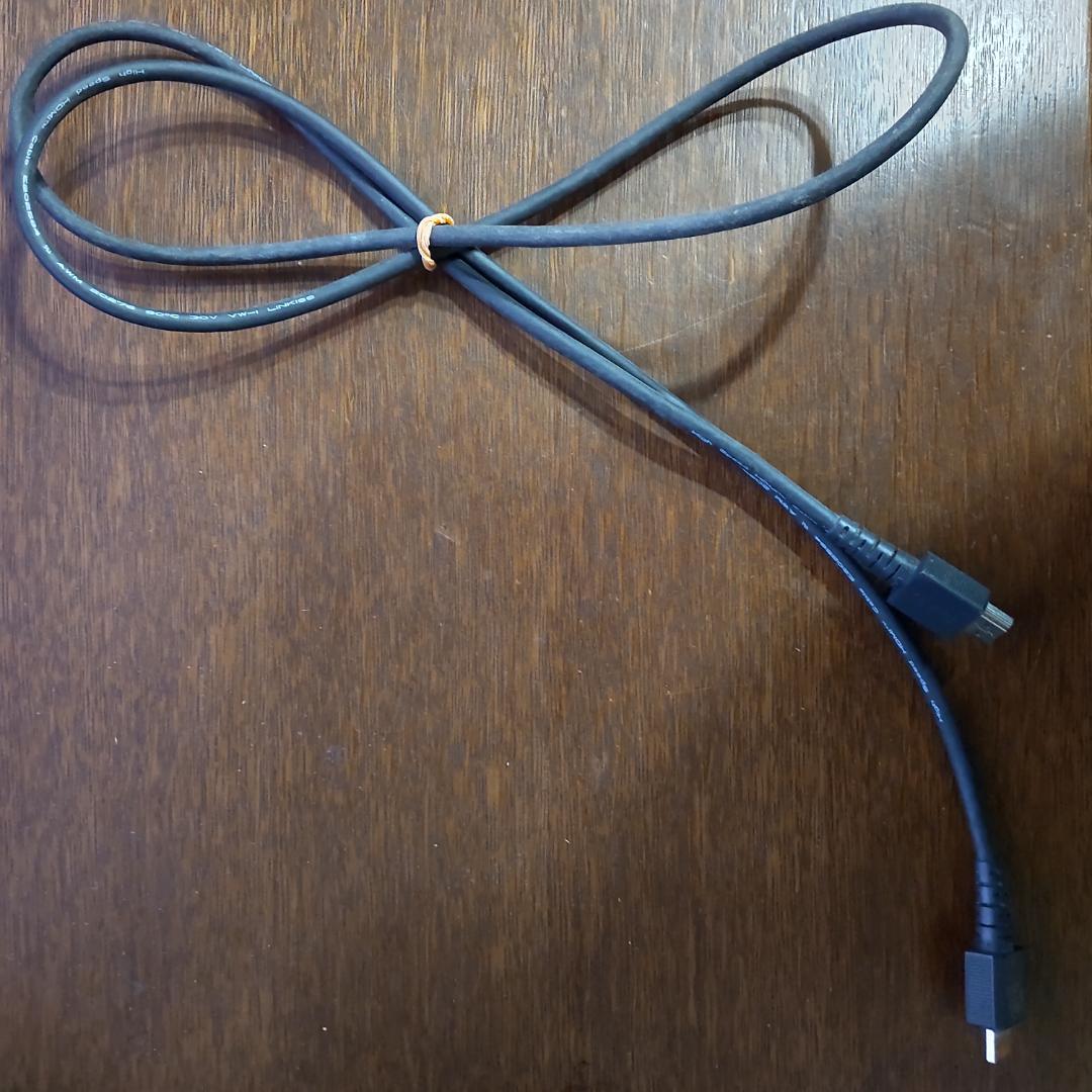 Nintendo Switch　本体 ドッグ　コンセント