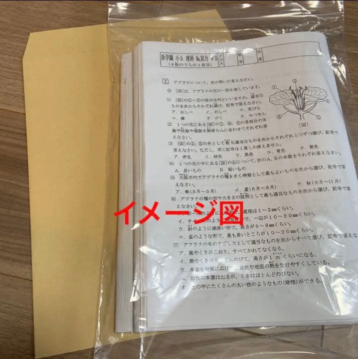 浜学園　灘中　韻文（詩、短歌、俳句）・語句対策　スペシャル厳選セット