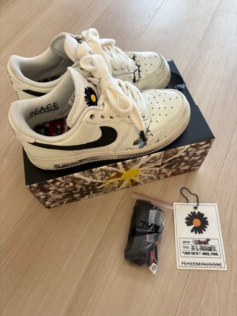 NIKE エアフォースワン　パラノイズ