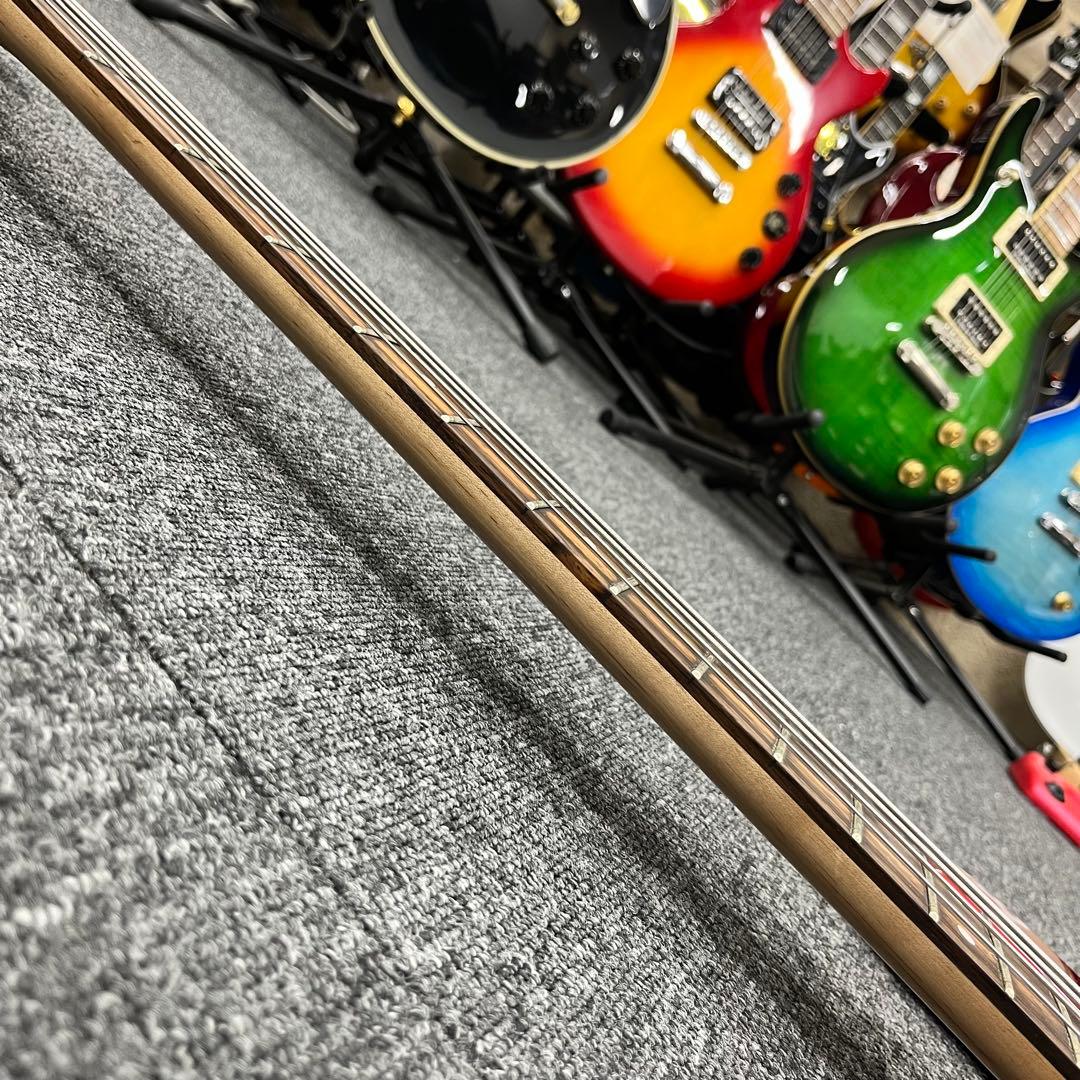 ケース追加【11205】【左利き用】 Legend by Aria Pro II