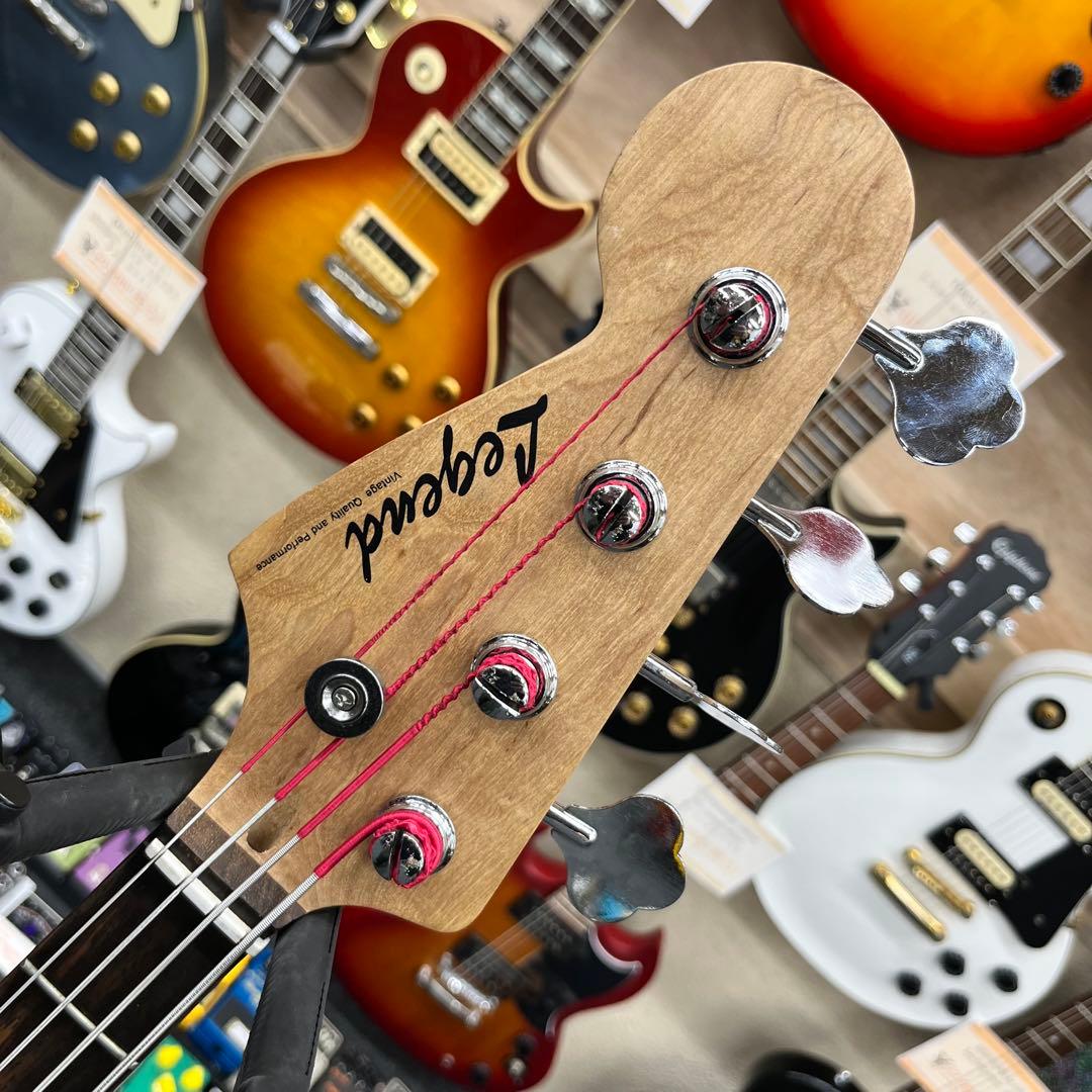 ケース追加【11205】【左利き用】 Legend by Aria Pro II