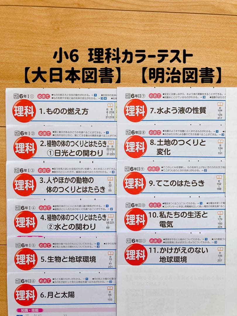 【小6】理科カラーテスト【大日本図書】【明治図書】