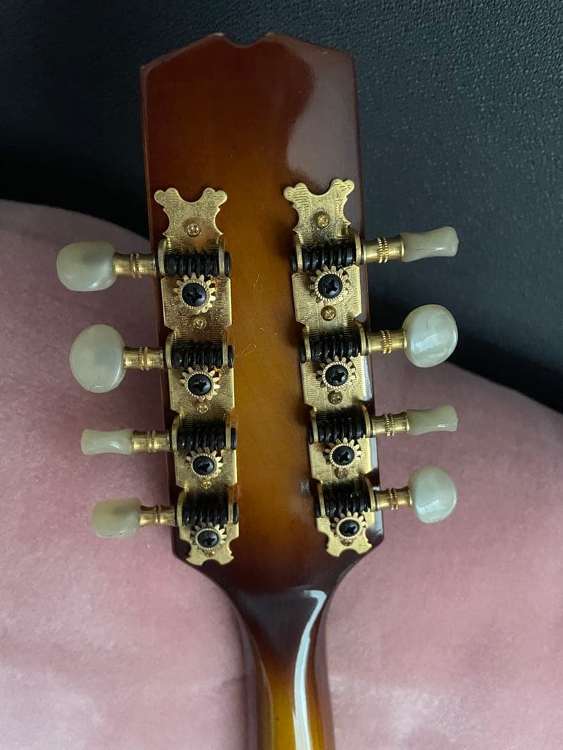 あおちゃん【希少】BlueBell フラットマンドリン 高級 FM-25