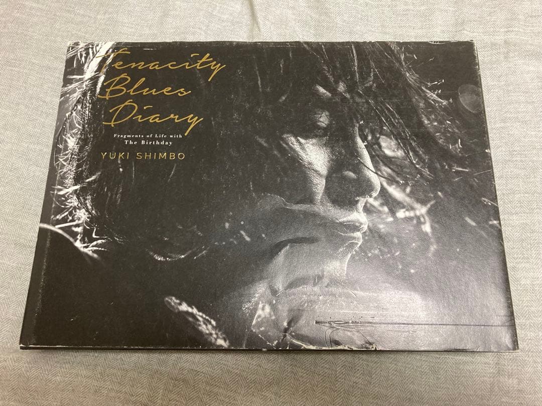 The Birthday写真集TenacityBluesDiary サイン入り