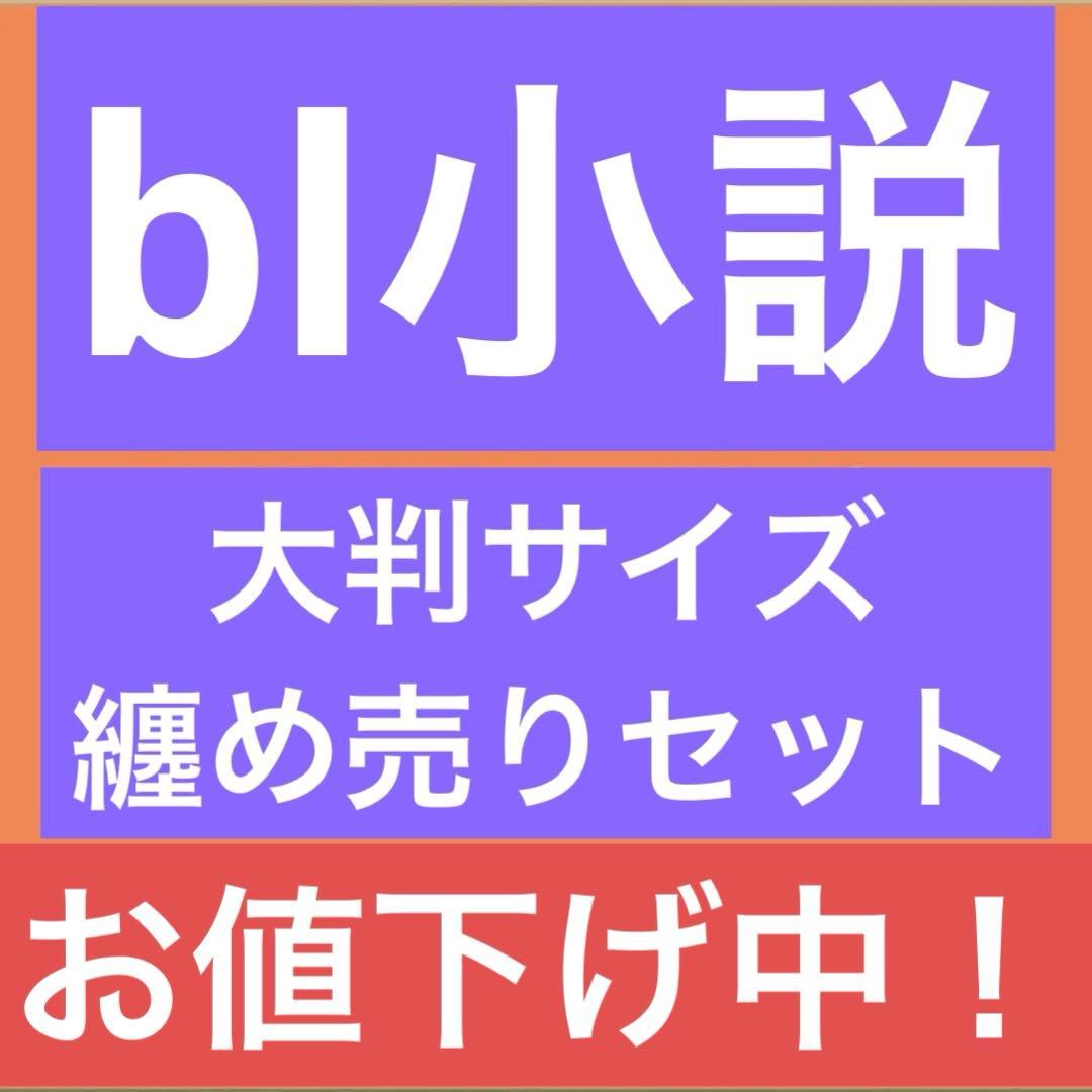 bl小説纏め売り　大判サイズセット