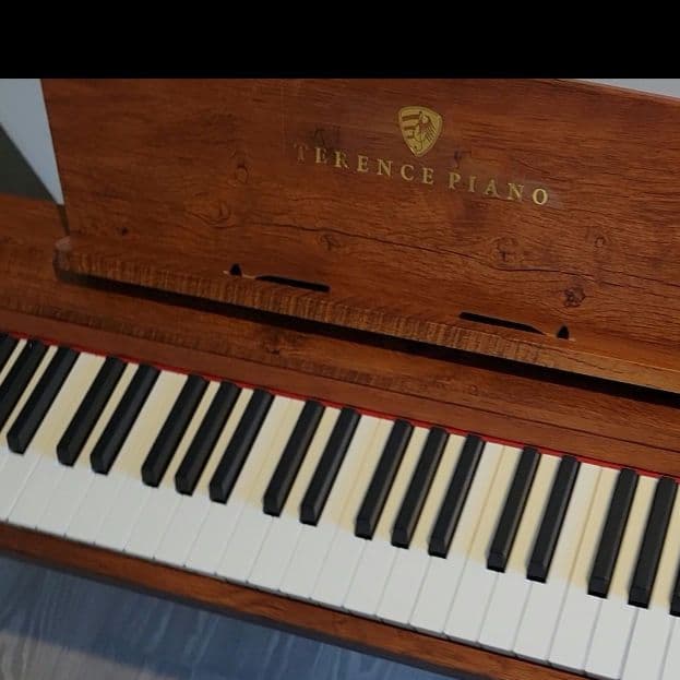 TERENCE 電子ピアノ 88鍵 カウンターウェイト鍵盤 木製 スタンド一体型