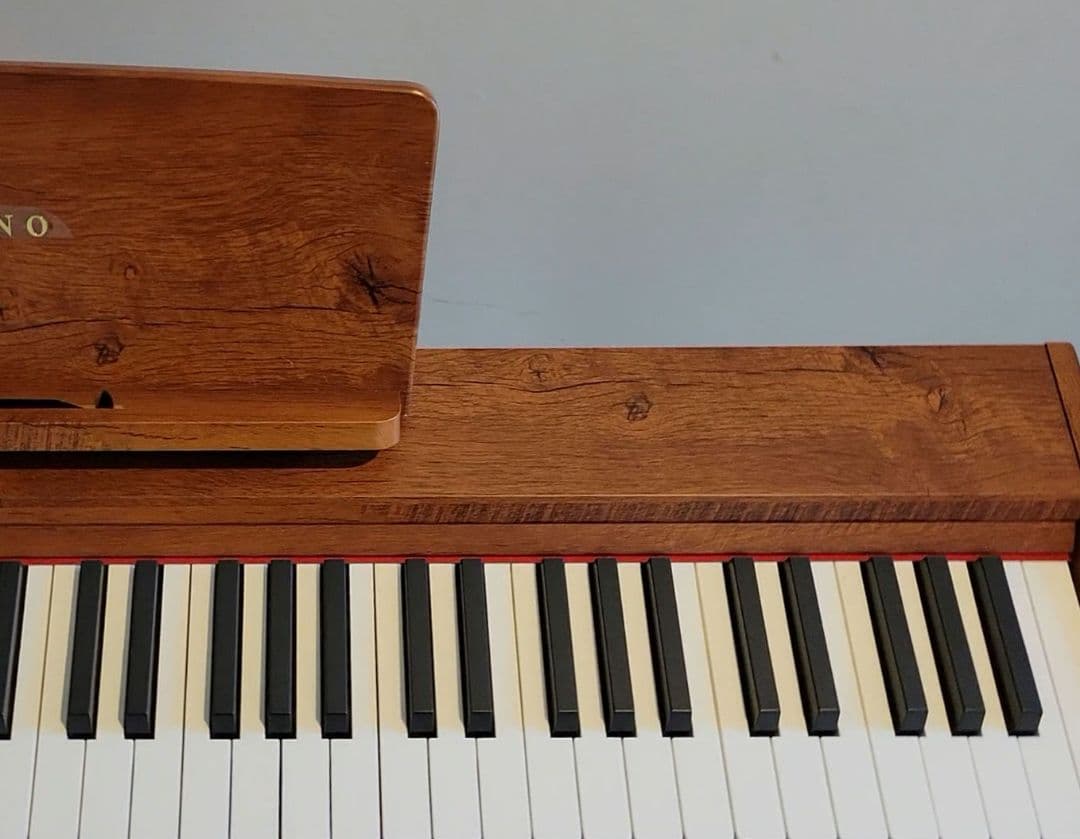 TERENCE 電子ピアノ 88鍵 カウンターウェイト鍵盤 木製 スタンド一体型