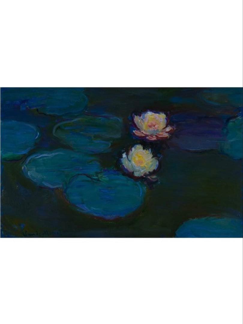 Velour Art Print Top/ベロアアートプリントトップ