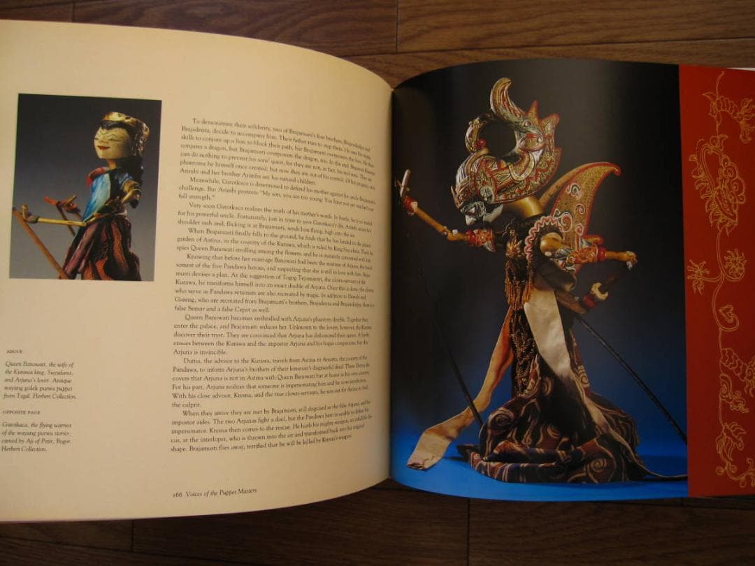 Voices of the Puppet Masters　インドネシア 人形