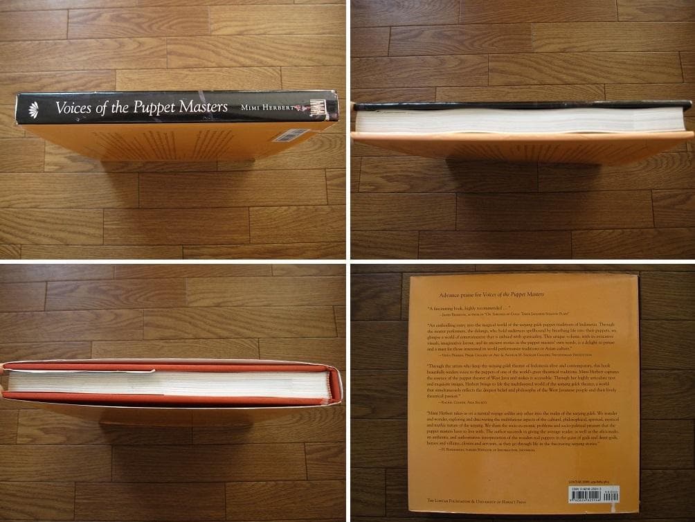 Voices of the Puppet Masters　インドネシア 人形