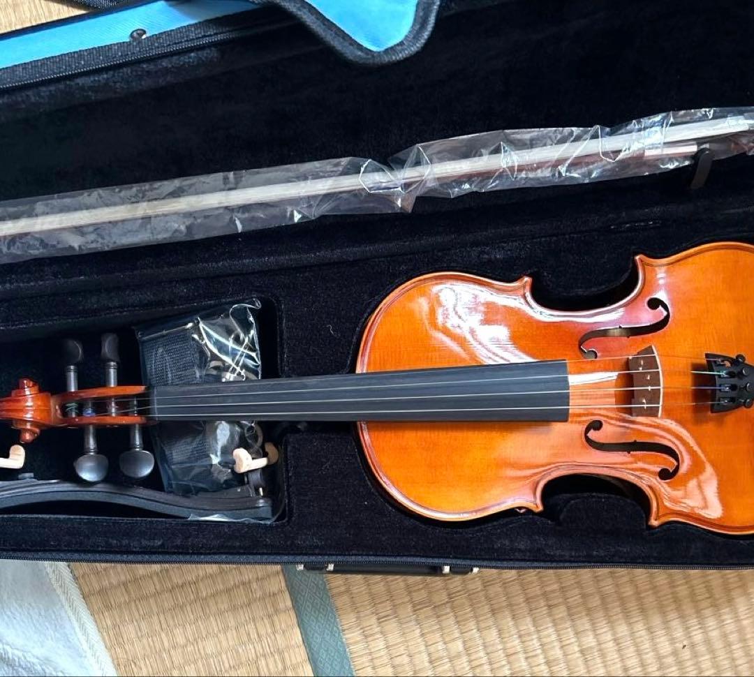 木製バイオリン 4/4 カルロジョルダーノVS-F 1CB