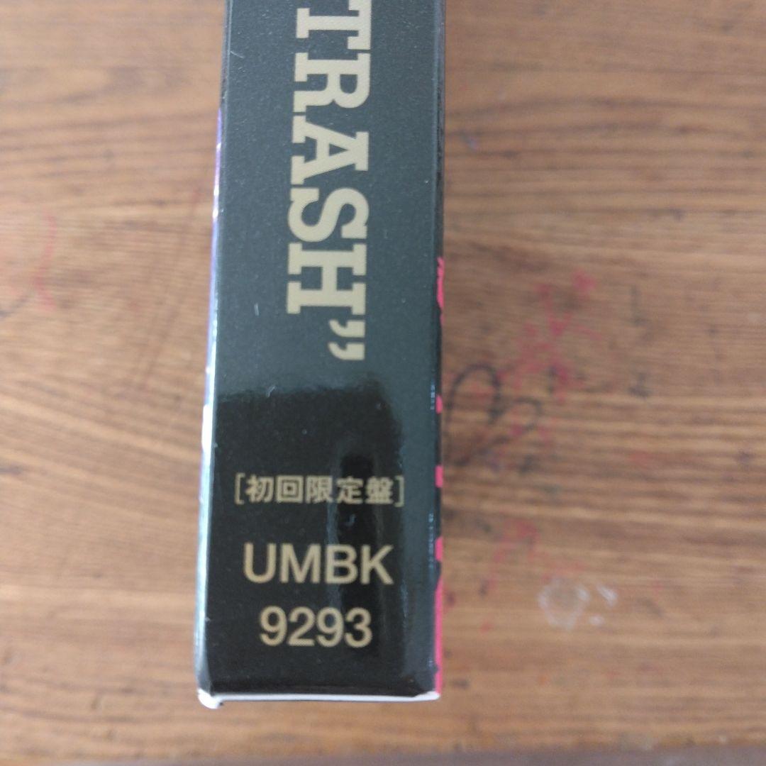 The Birthday 　LIVE AT NIPPON BUDOKAN2015