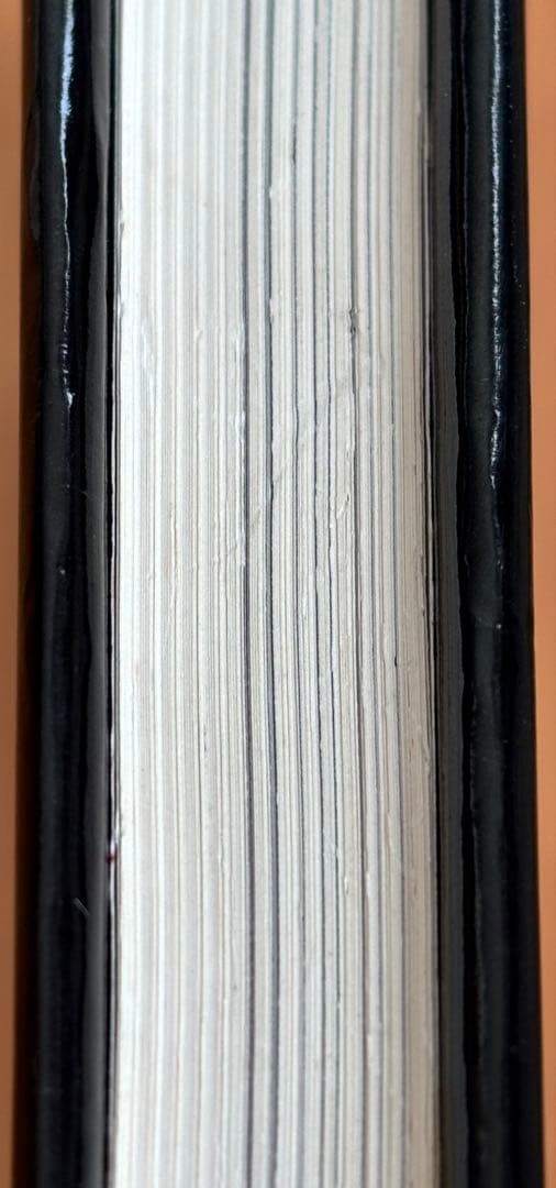 ドイツ・ベルリン 19世紀の刺繍 作品 図案集「Berlin Work」