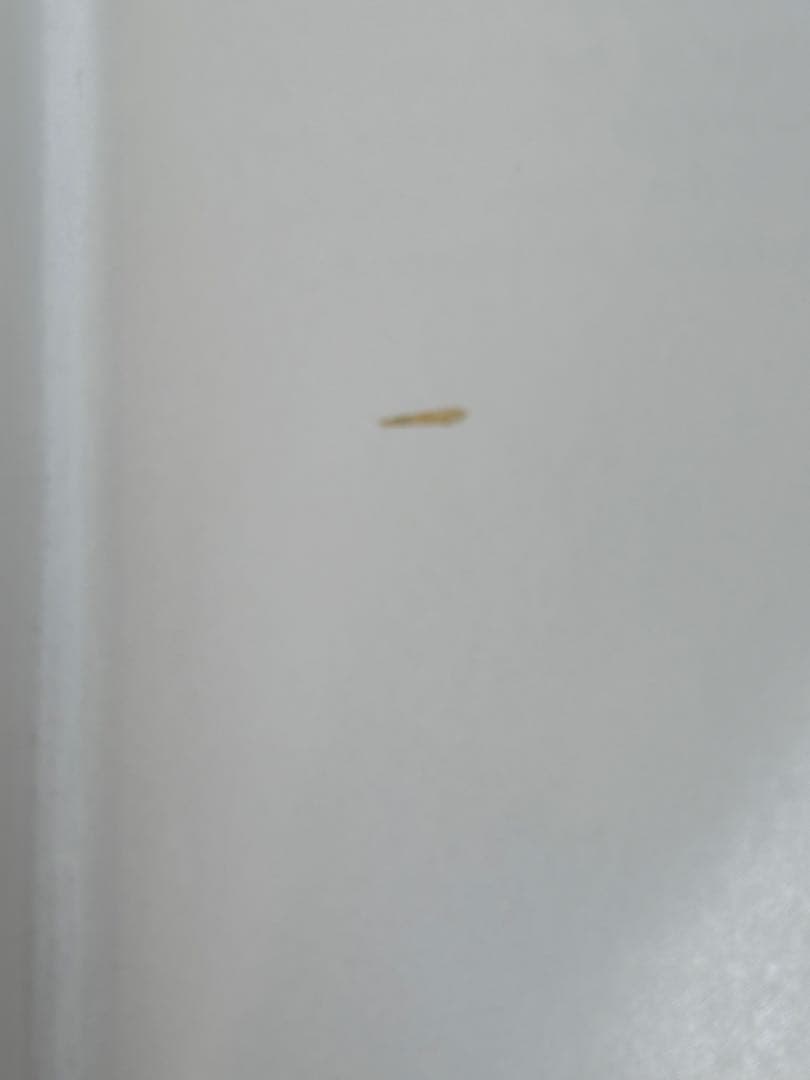 ドイツ・ベルリン 19世紀の刺繍 作品 図案集「Berlin Work」