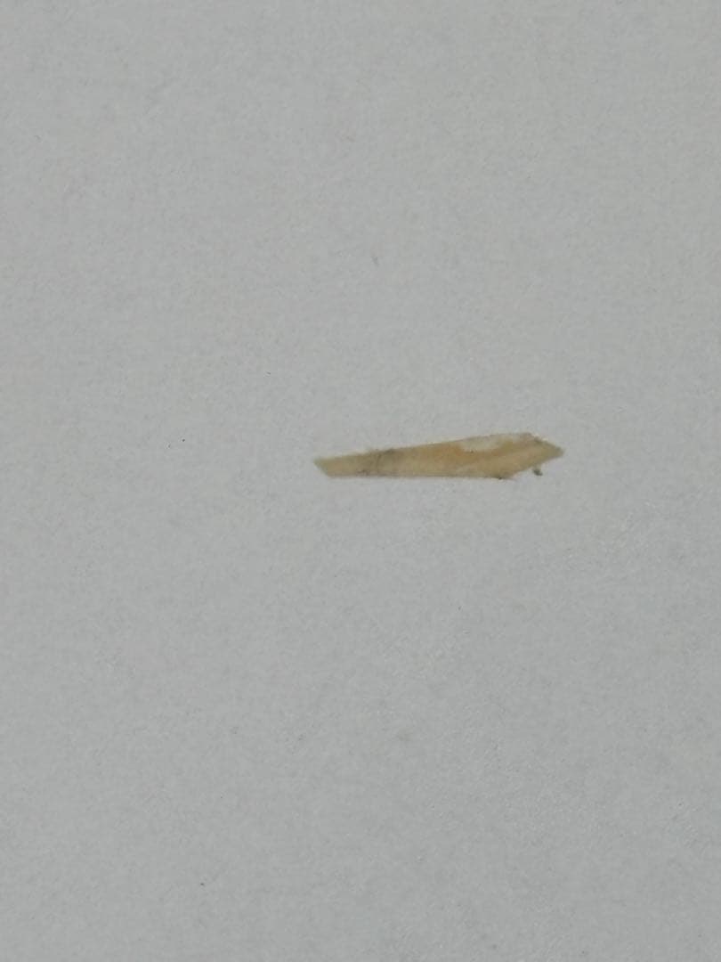 ドイツ・ベルリン 19世紀の刺繍 作品 図案集「Berlin Work」