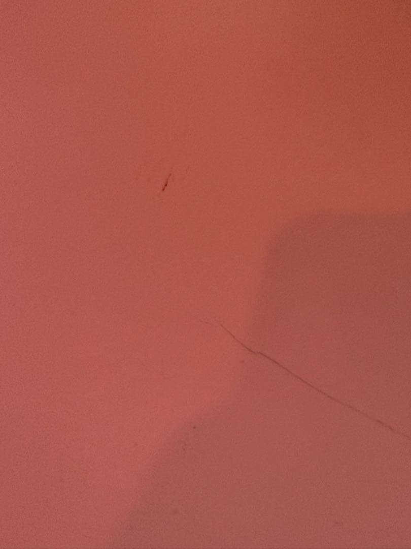 レア　Karim Rashid バタフライチェア　ピンク