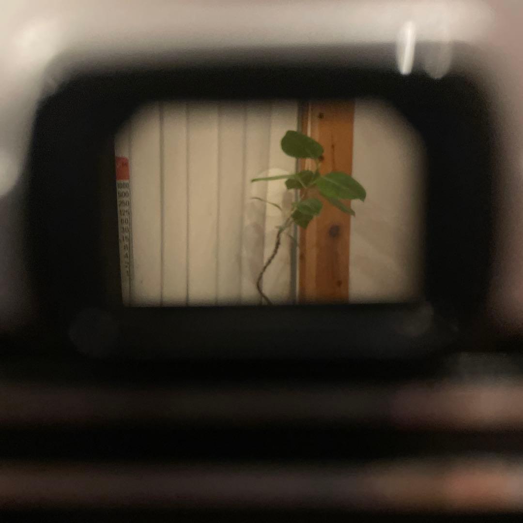 OLYMPUS OM-10 一眼レフカメラセット