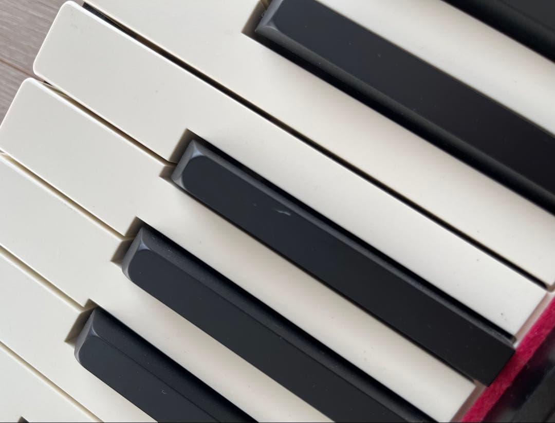 Roland ローランド　GO:PIANO GO-61P