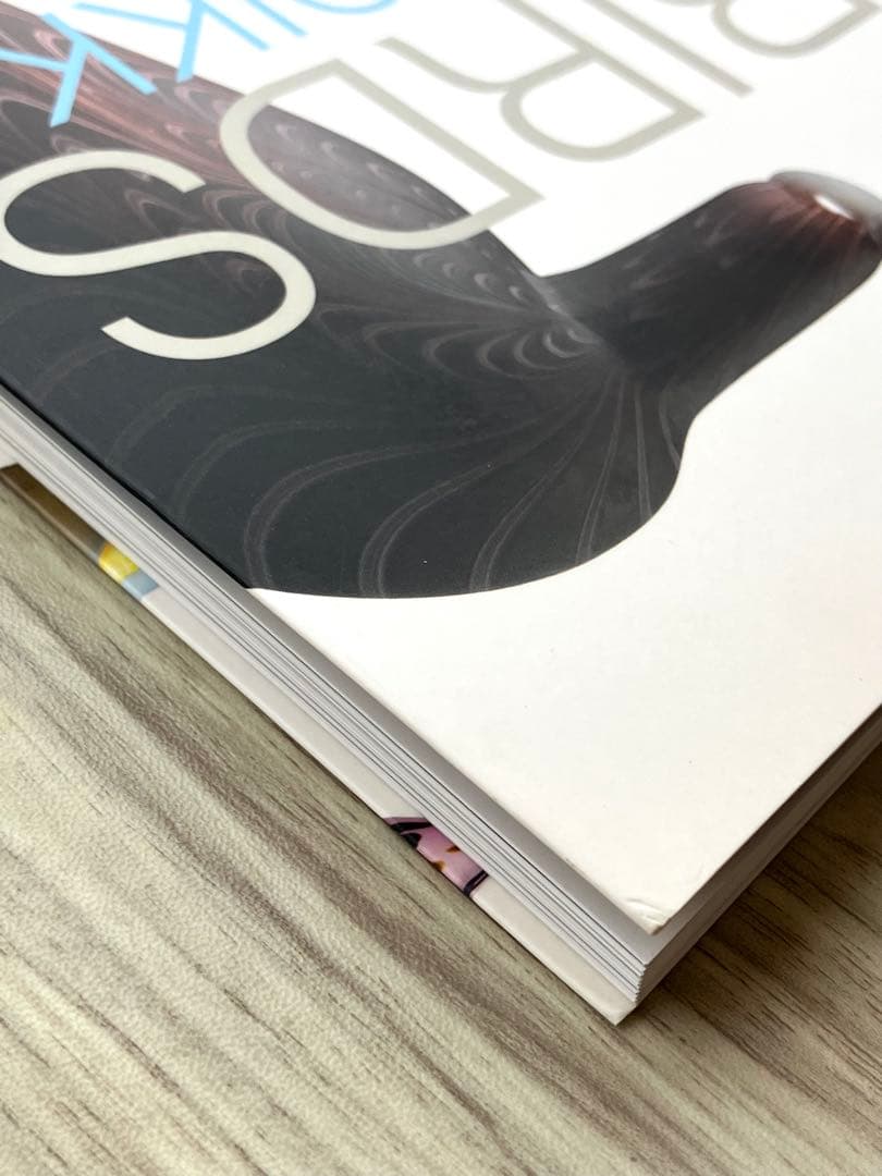 バード作品集 BIRDS BY TOIKKA - TOIKAN LINNUT