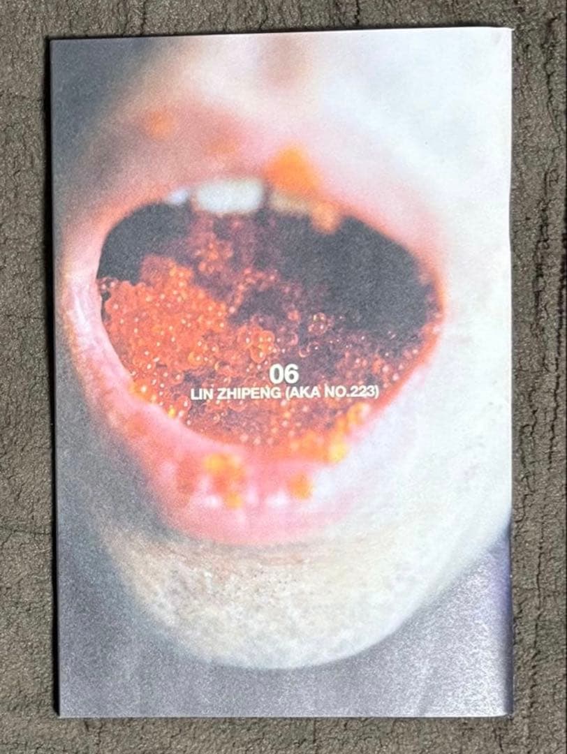 サイン入り‼️ 絶版‼️ Lin Zhipeng Saint Laurent