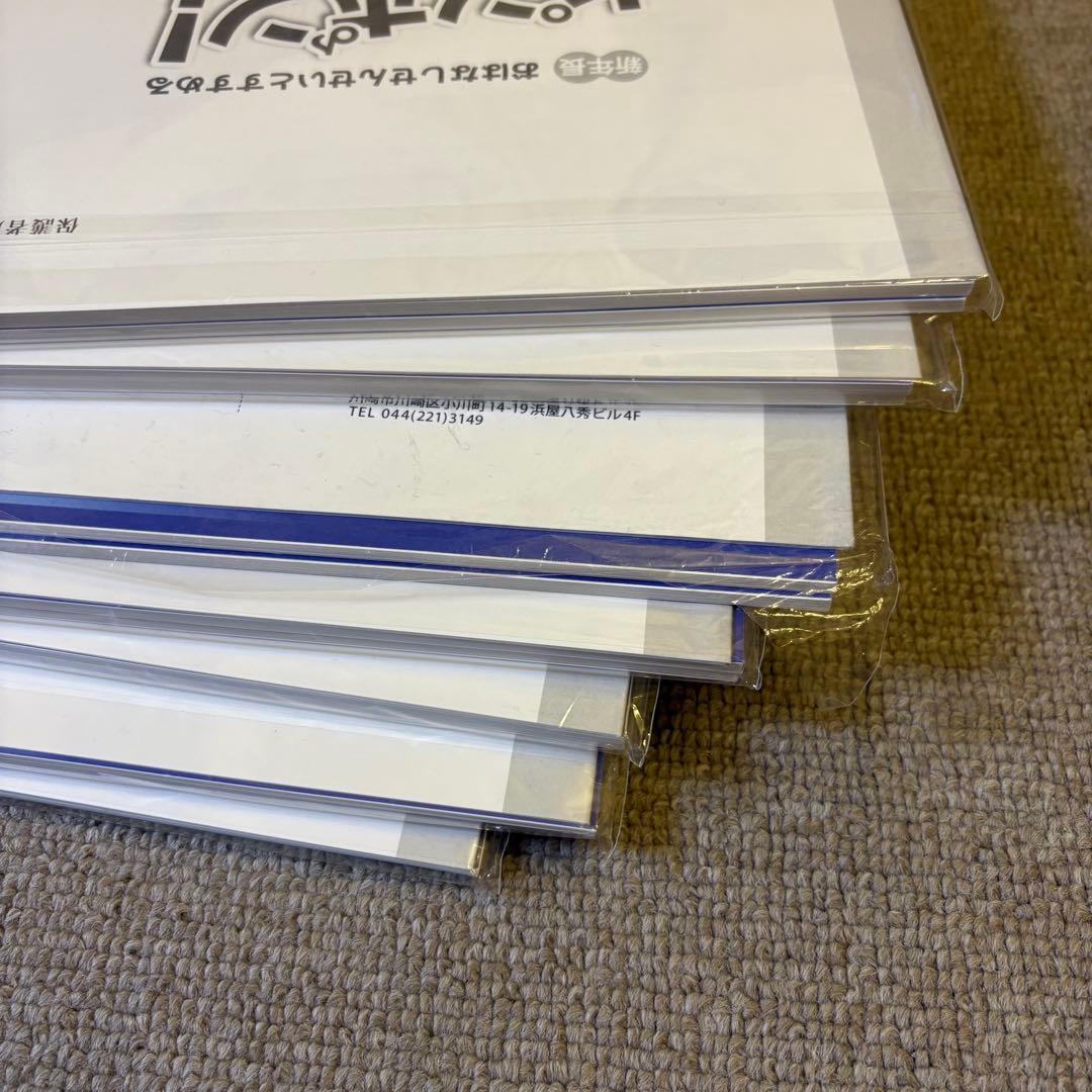 ピンポン！ワーク 年長 おはなしせんせい タッチペン セット 理英会