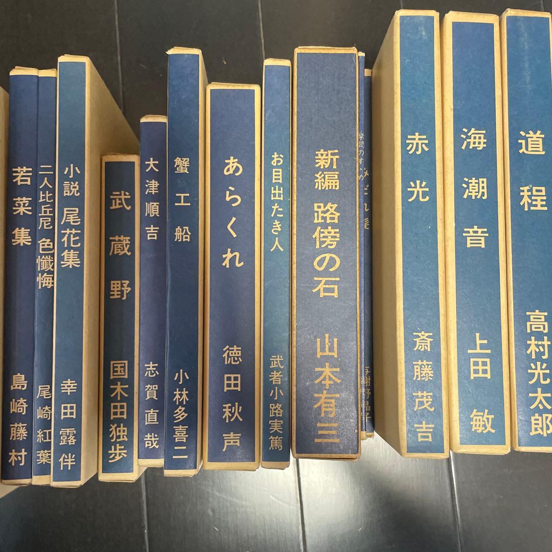 新選 名著復刻全集 近代文学館 (計35冊)