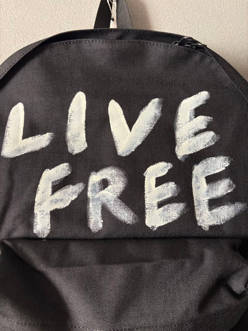 コムデギャルソン オムプリュス リュック ペイント 限定品 PZ-K205