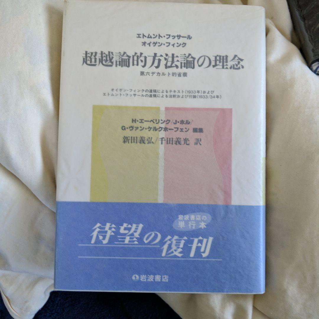 超越論的方法論の理念 : 第六デカルト的省察