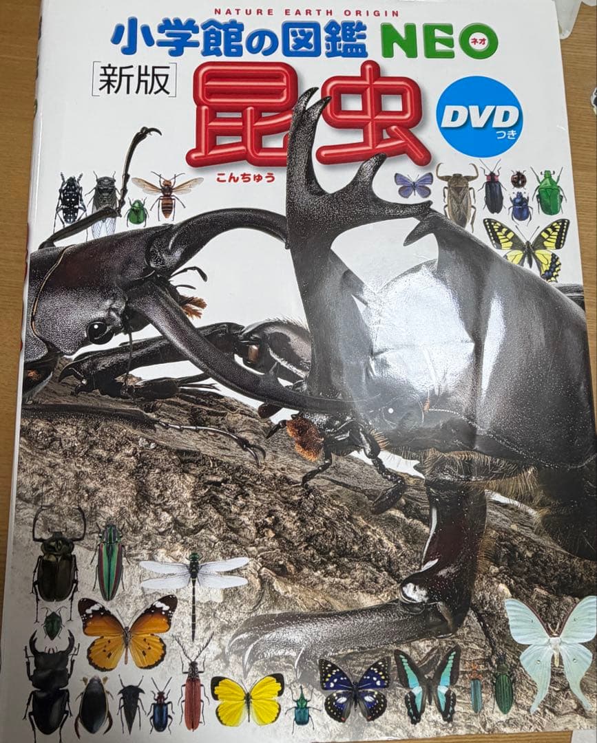 小学館の図鑑NEO 11冊セット　DVD欠品