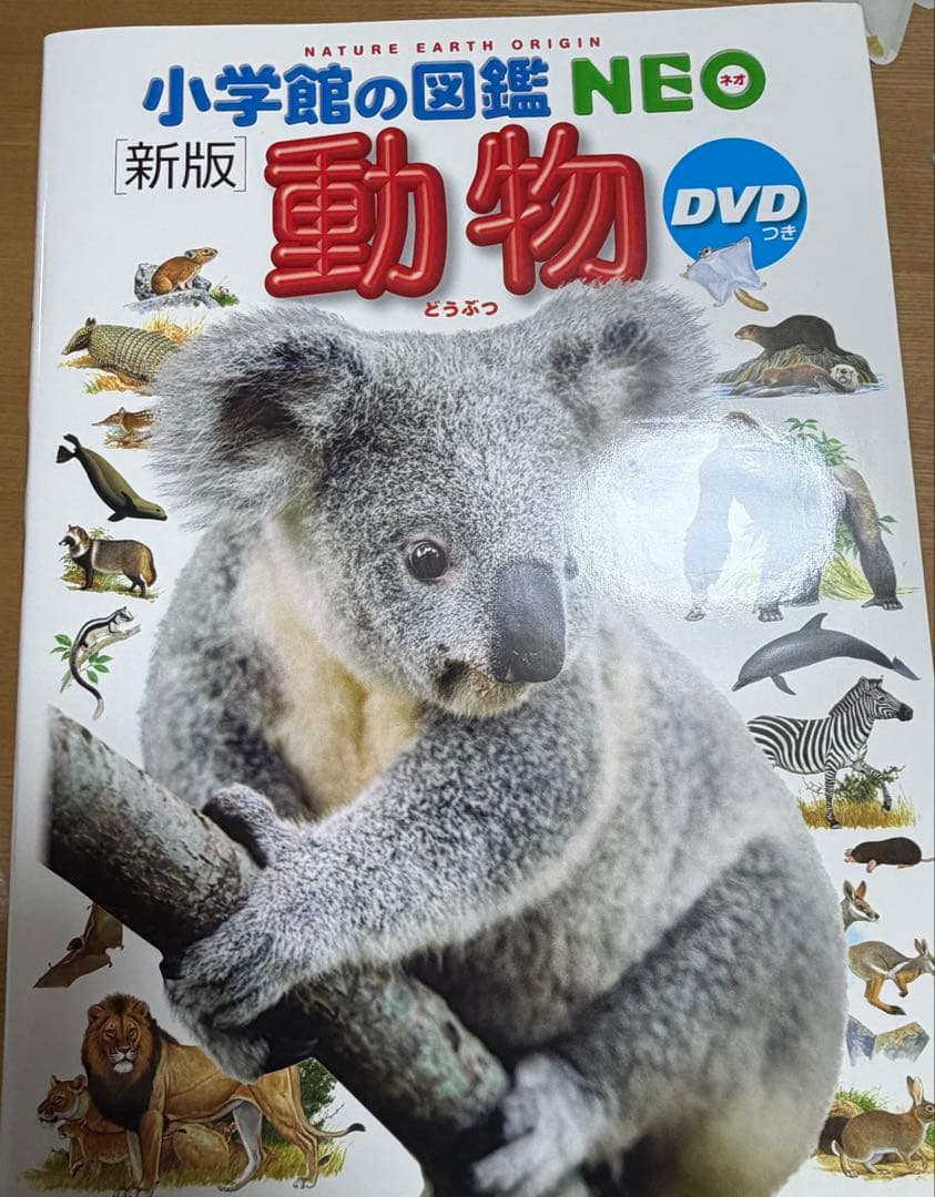 小学館の図鑑NEO 11冊セット　DVD欠品