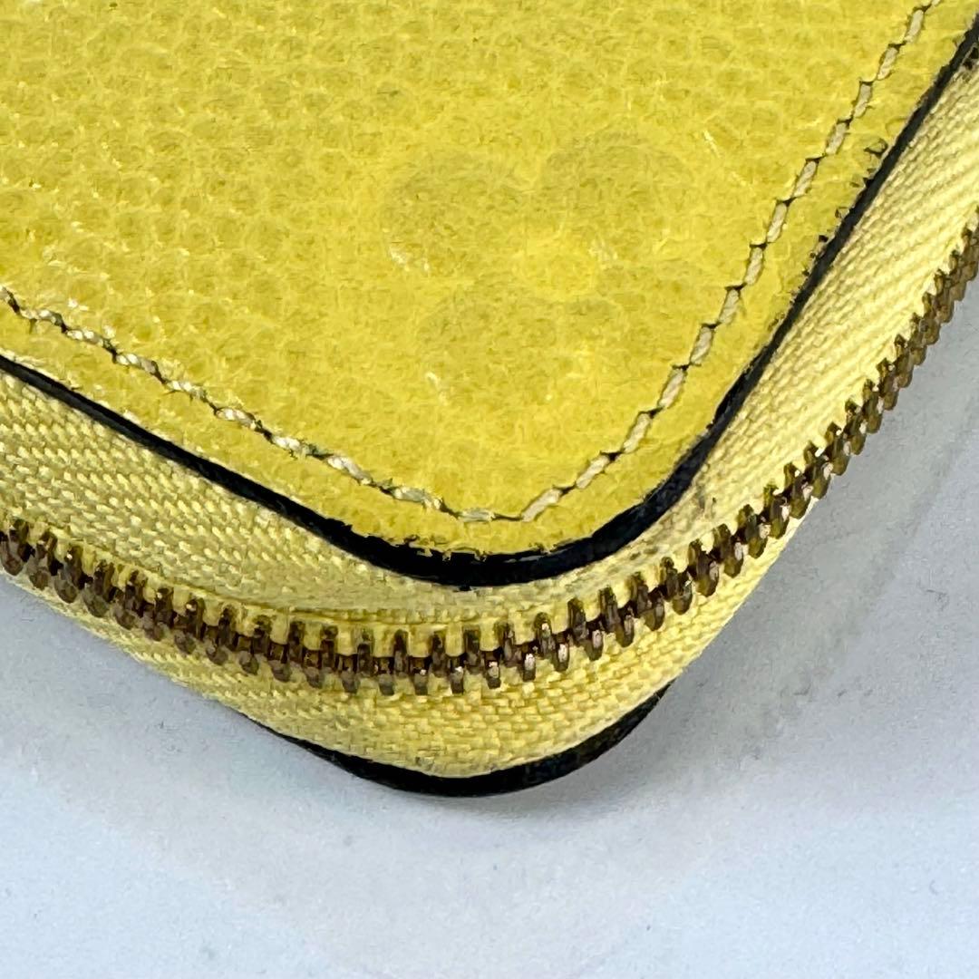 【希少】ルイヴィトン　ジッピーパース　モノグラム　アンプラント　イエロー