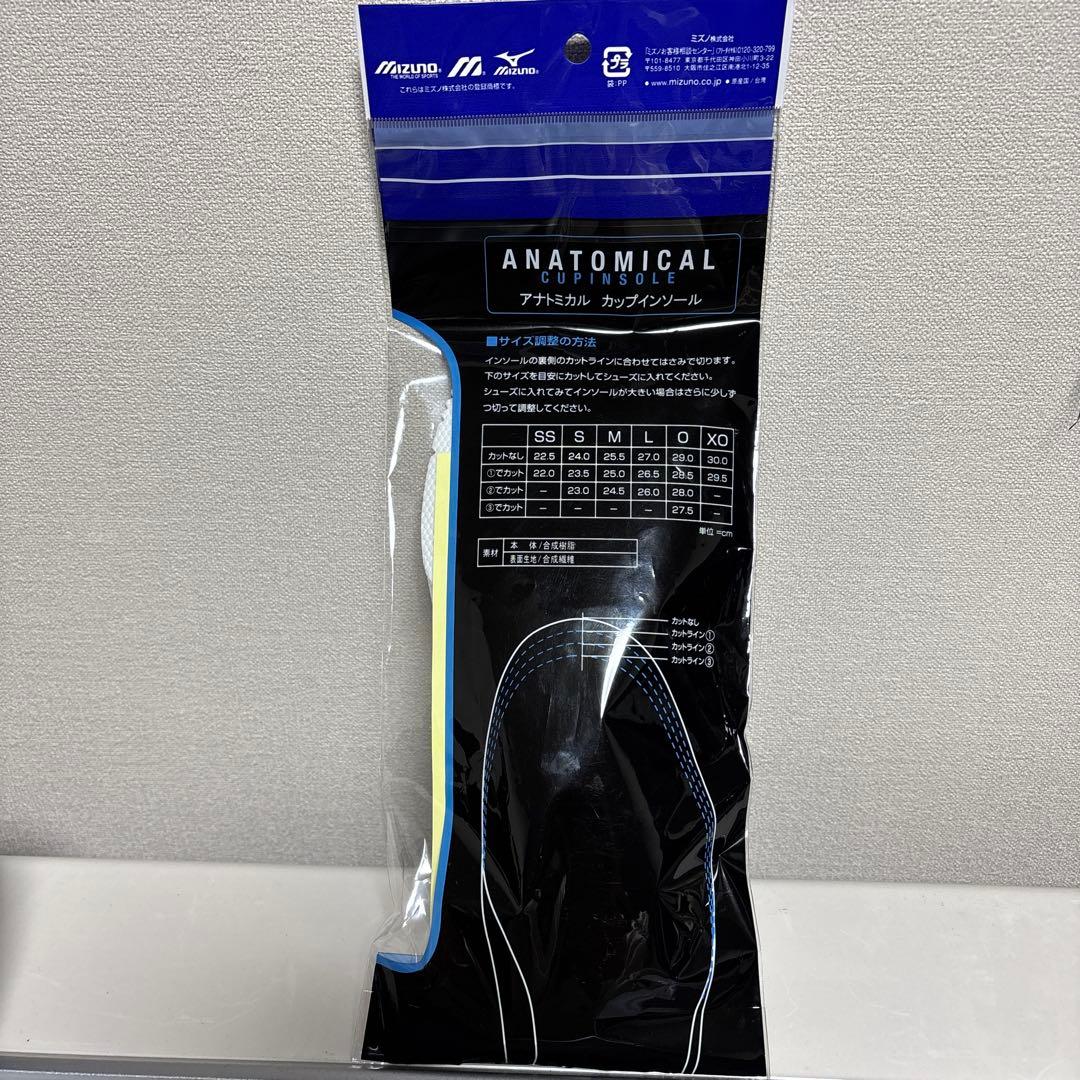 Mizuno モレリア2 22.5cm