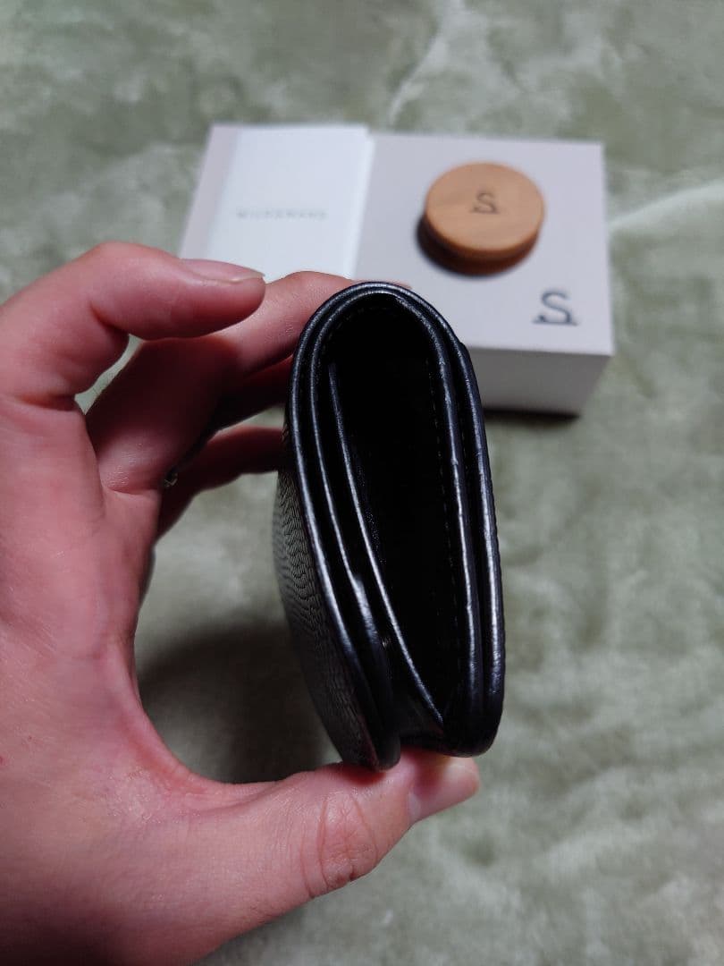 ワイルドスワンズ パーム リザード