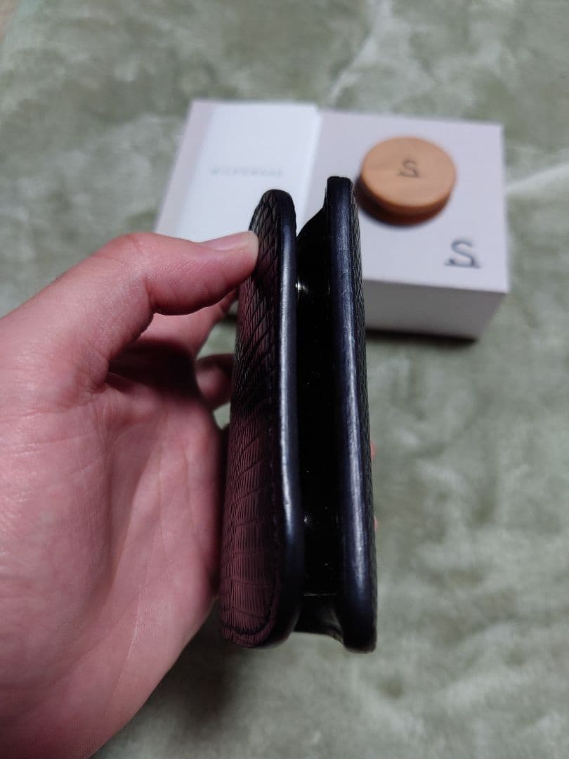 ワイルドスワンズ パーム リザード