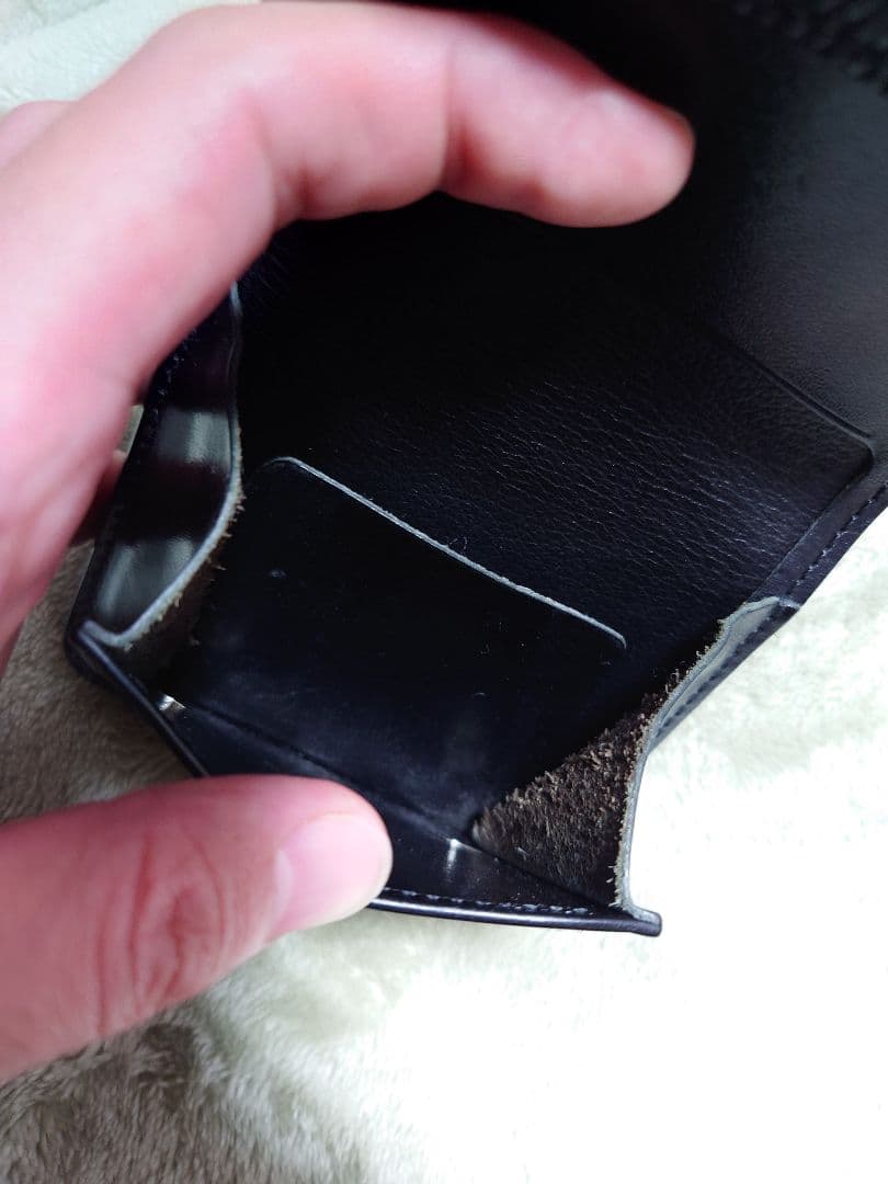 ワイルドスワンズ パーム リザード