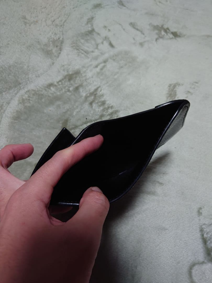 ワイルドスワンズ パーム リザード