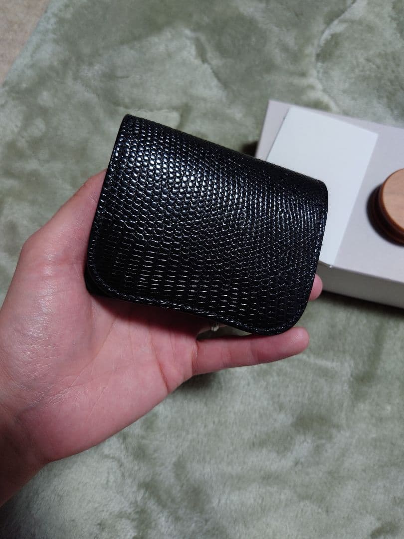 ワイルドスワンズ パーム リザード