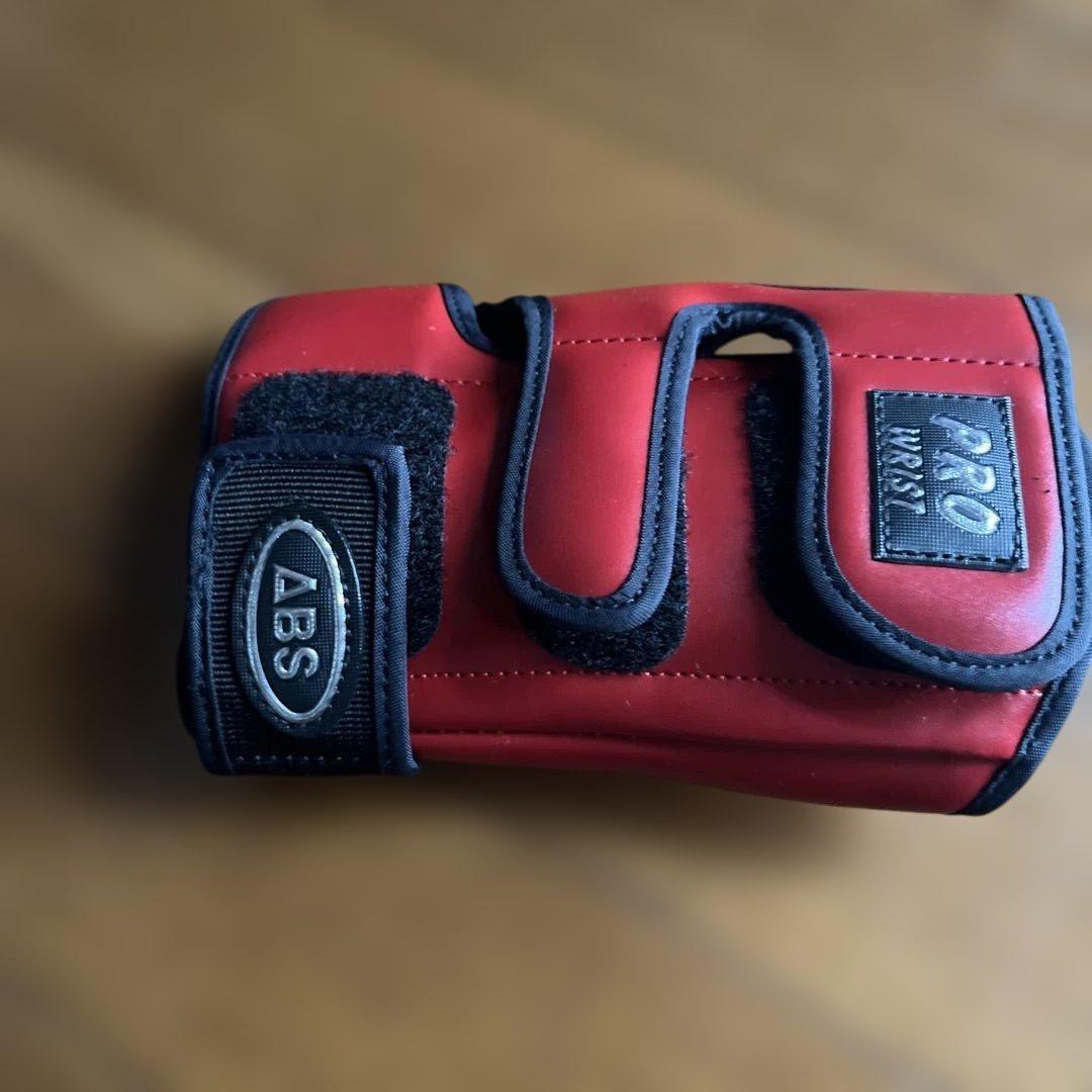 ABS ボウリング用バッグ ボール2個入りキャスター付き　その他アクセサリー