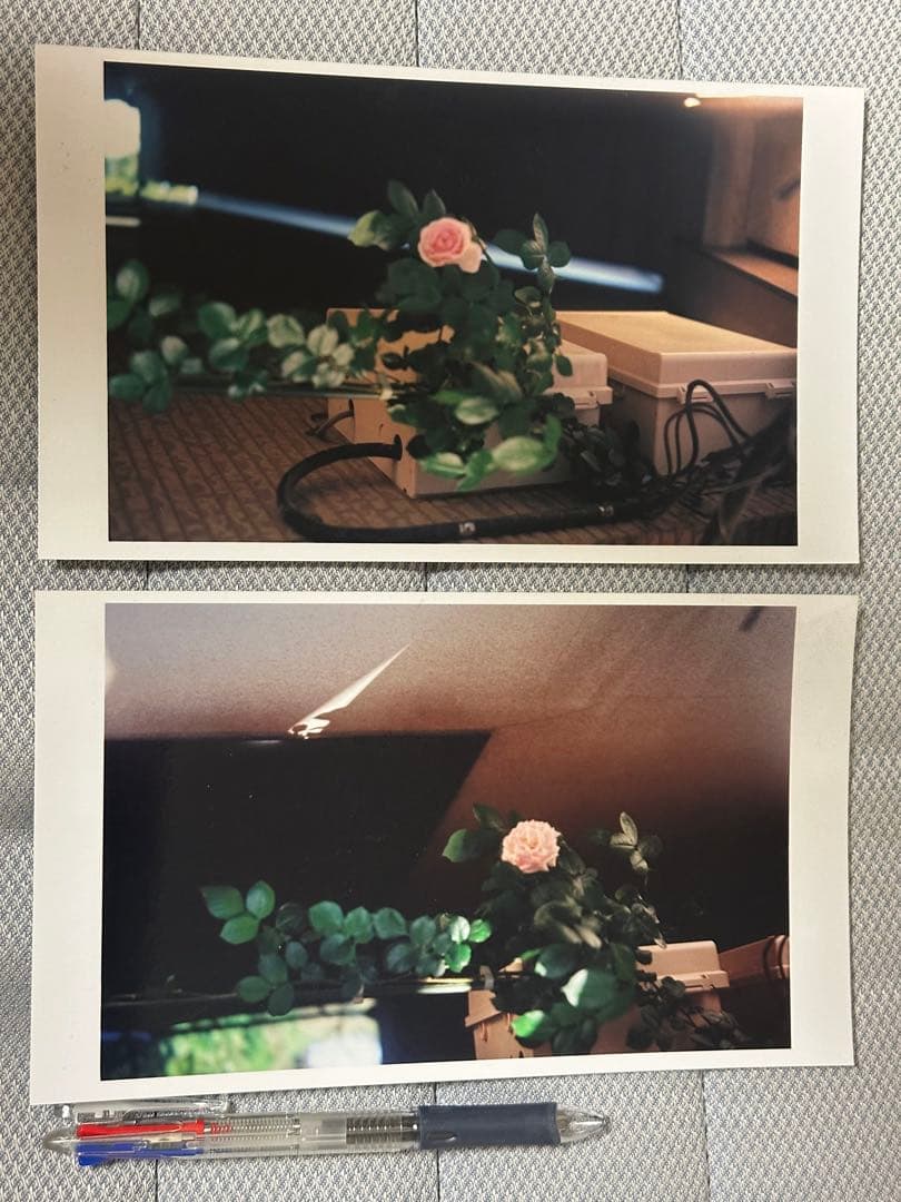 Zeiss Ikon Ikonta 520/2 最上位機種 完動品