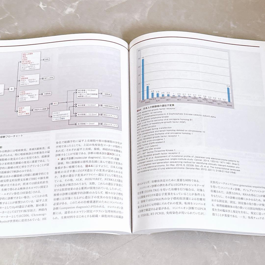 解明 病理学 第4版
