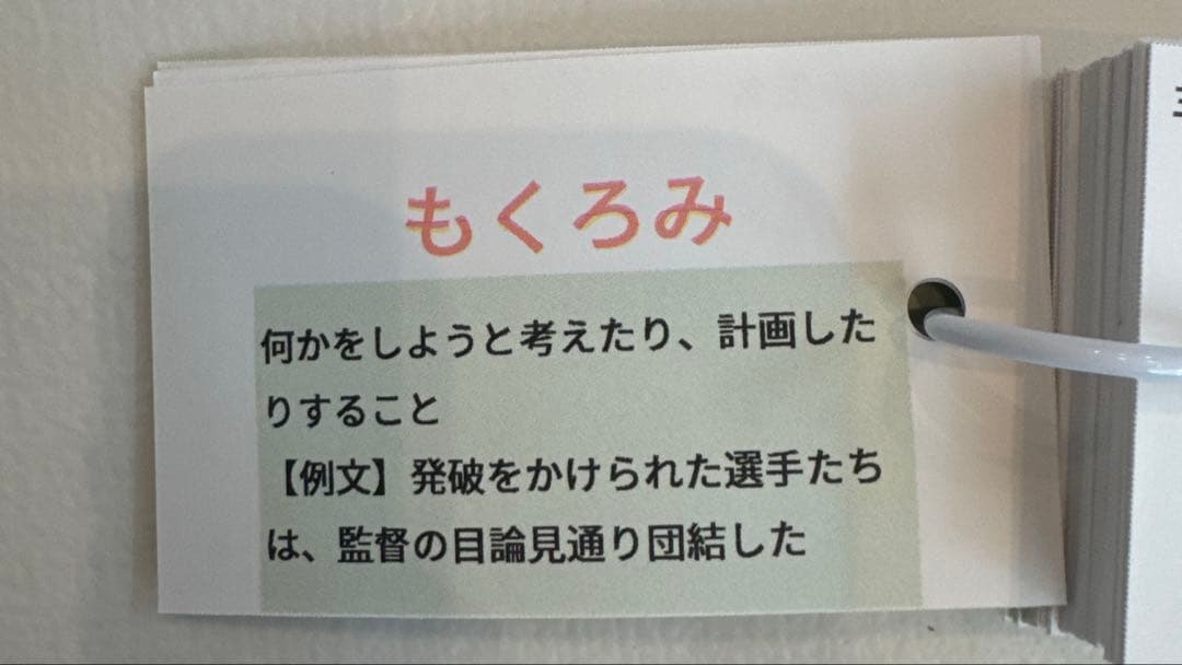暗記カード　まとめ売り　中学受験