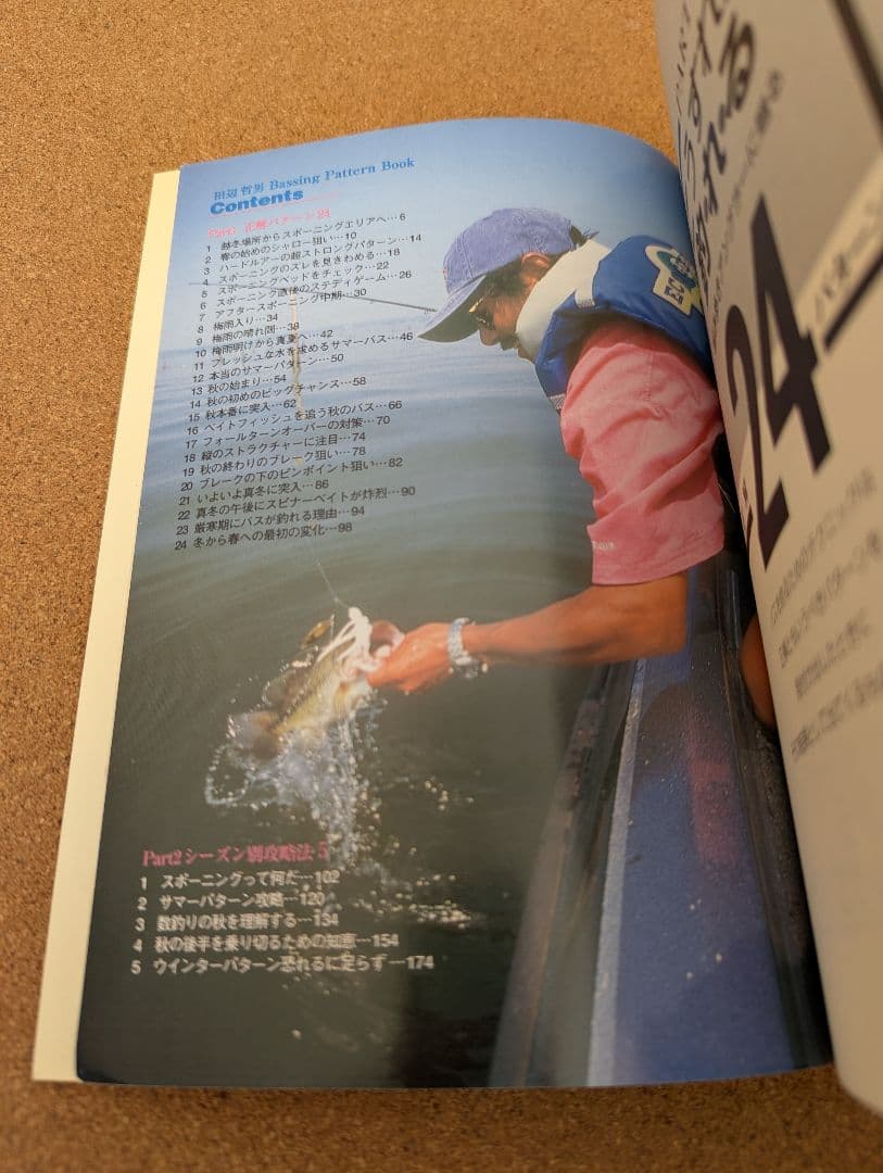 田辺哲男　バッシングパターンブック