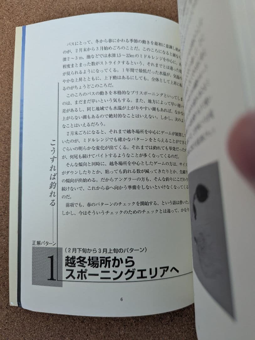 田辺哲男　バッシングパターンブック