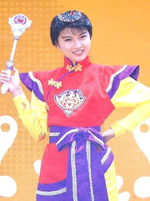 ★DVD　魔法少女ちゅうかないぱねま！　島崎和歌子/石ノ森章太郎先生/東映