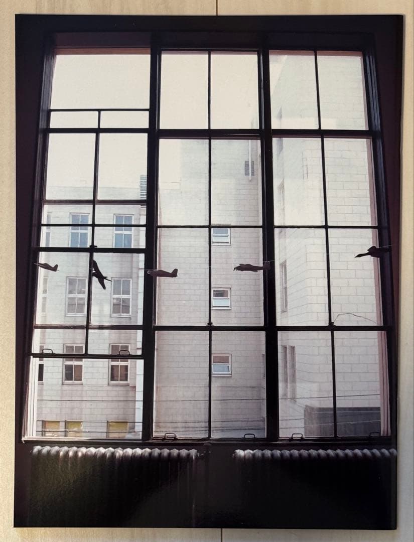 【新品！サイン署名！初版！】森山大道　記録16号 中平卓馬　細江英公