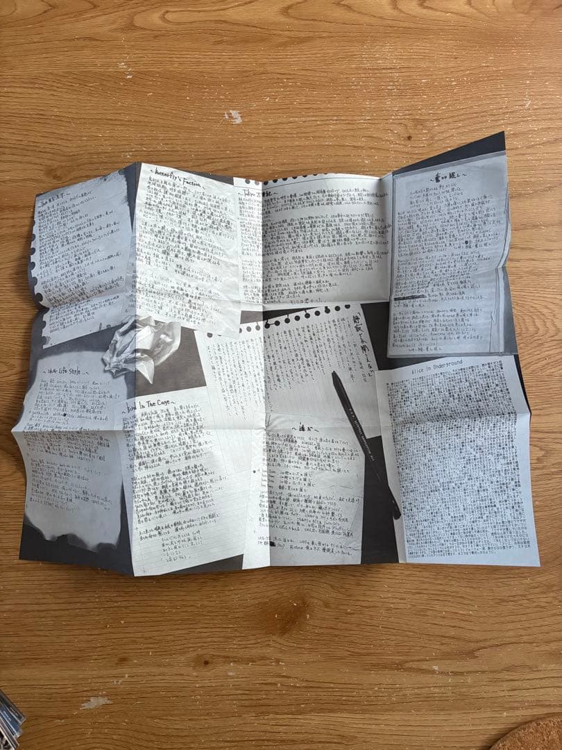 邦楽 THE N.E.X.T. ZONE THE DARKNESS CD