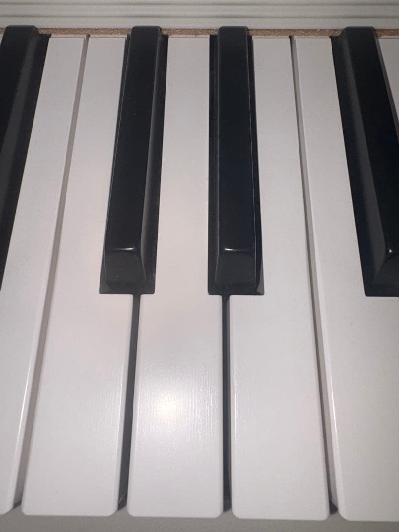 CASIO Casiotone CT-S1 キーボード